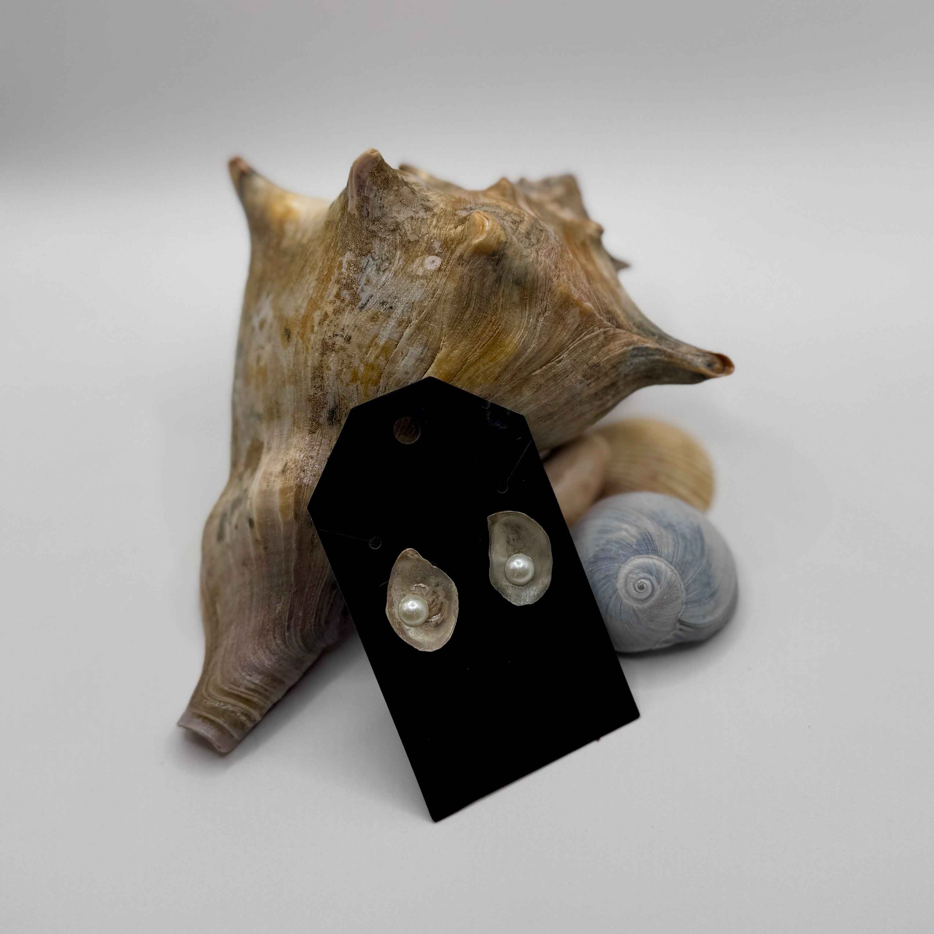 Natural Oyster Shell Earrings